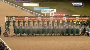 Video preview image for Dundalk 18:45 - Happy Christmas From All At Dundalk Stadium Handicap (Div 2)