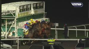 Video preview image for KEMPTON PARK 18:30 - British Stallion Studs EBF Restricted Novice Stakes (5)