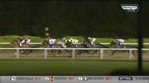 Video preview image for Dundalk 17:15 - Happy Christmas From All At Dundalk Stadium Handicap