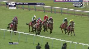 Video preview image for Haydock Park 13:30 - Betfred Tommy Whittle Handicap Chase (2)