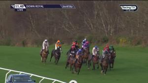 Video preview image for Down Royal 11:40 - I.N.H. Stallion Owners EBF Maiden Hurdle