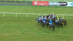 Video preview image for Limerick 14:08 - Mr. Binman Mares Handicap Hurdle