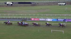Video preview image for Limerick 14:37 - Grant Thornton Ladies Handicap Hurdle
