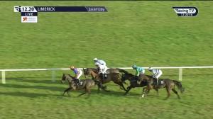 Video preview image for Limerick 12:20 - Geary's Garage Veterans Handicap Chase