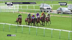 Video preview image for Haydock Park 13:25 - Betfred Last Fling Handicap Chase (2)