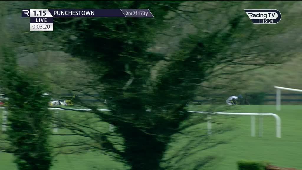 Watch Today's Horse Racing Replays Racing TV