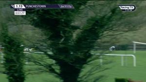 Video preview image for Punchestown 13:15 - Tote, Never Beaten By SP Handicap Chase
