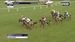 Video preview image for Ludlow 12:25 - Ludlow Junior 'National Hunt' Hurdle (4)