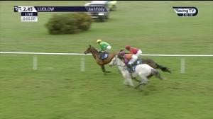 Video preview image for Ludlow 14:45 - Plyvine Caterers Handicap Chase (3)