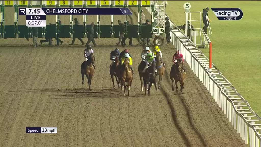 Today's Horse Racing Results | Racing TV