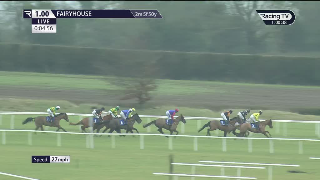 Watch Today's Horse Racing Replays | Racing TV