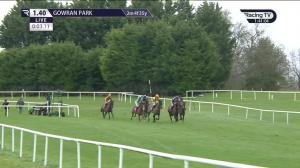 Video preview image for Gowran Park 13:40 - Connolly's Red Mills Irish EBF Ladies Auction Maiden Hurdle