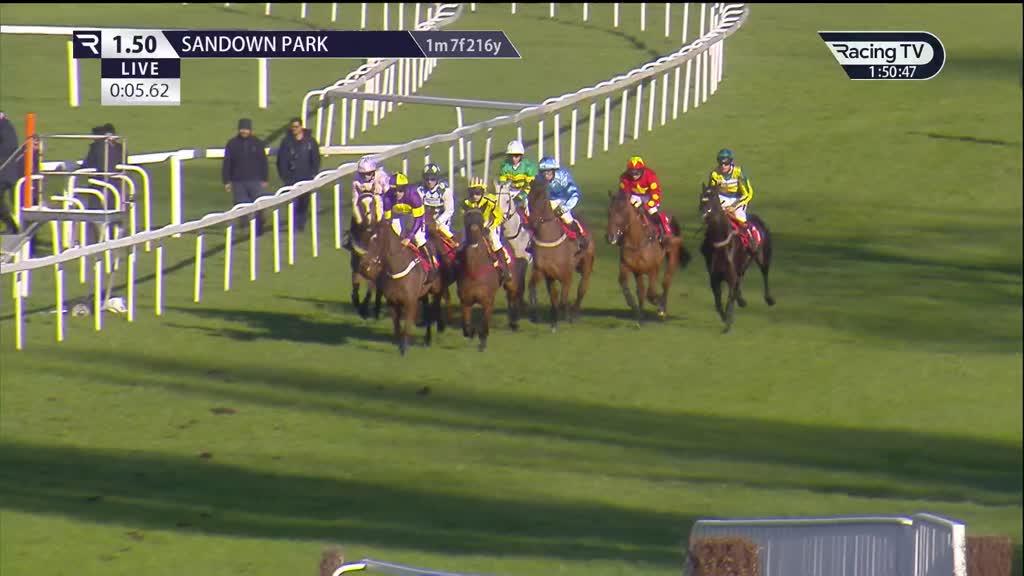 HORSE RACING REPLAYS visual data 4