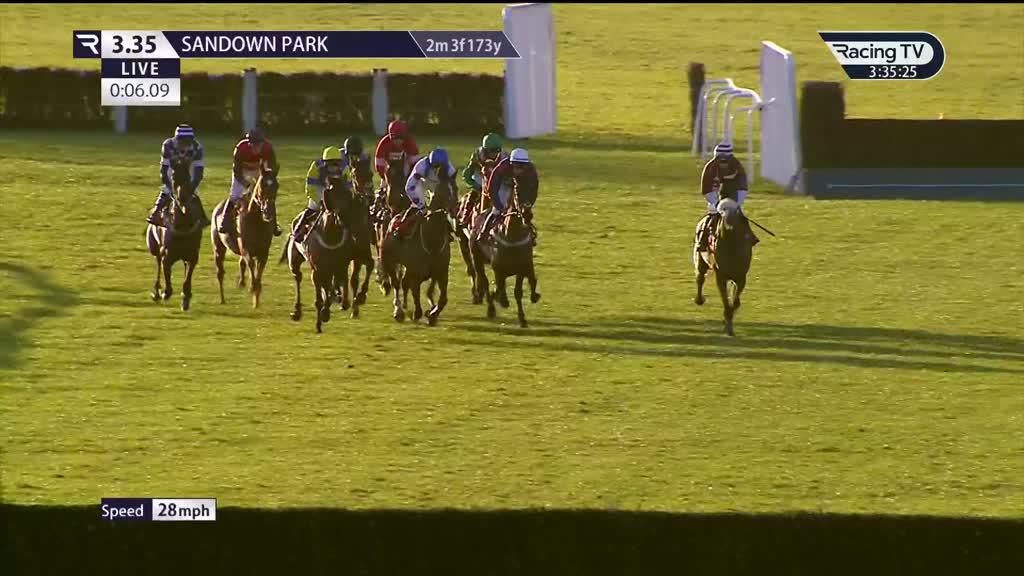 HORSE RACING REPLAYS visual data 3
