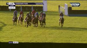 Video preview image for Sandown Park 15:35 - Hampton Court Handicap Hurdle (3)