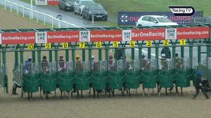 Video preview image for Dundalk 14:35 - Book Online At dundalkstadium.com Maiden