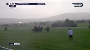 Video preview image for Leopardstown 13:20 - Nathaniel Lacy & Partners Solicitors Novice Hurdle (Golden Cygnet) (Grade 1)
