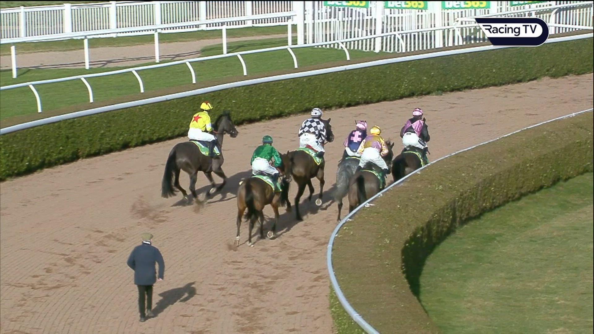 Today's Horse Racing Results | Racing TV