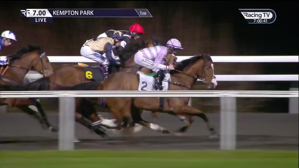 Today's Horse Racing Results | Racing TV