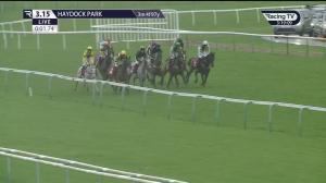 Video preview image for Haydock Park 15:15 - Virgin Bet Grand National Trial Handicap Chase (Premier Handicap) (1)