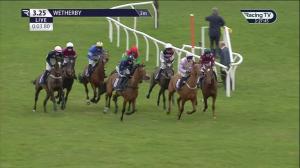 Video preview image for WETHERBY 15:25 - Visit Irish Bloodstock Sales With Itm Junior 'National Hunt' Hurdle (4)