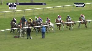 Video preview image for Ayr 14:30 - Virgin Bet Every Saturday Money Back Handicap Hurdle (Qualifier) (5)