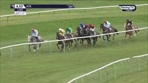 Video preview image for Ayr 16:53 - Virgin Bet Open National Hunt Flat (Qualifier) (5)