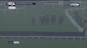 Video preview image for Cheltenham 16:50 - Mrs Paddy Power Mares’ Chase (Liberthine) (Grade 2) (1)