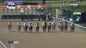 Video preview image for Dundalk 20:30 - Happy Easter From Dundalk Stadium Handicap