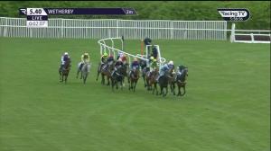 Video preview image for Wetherby 17:40 - wetherbyracing.co.uk Open National Hunt Flat (5)
