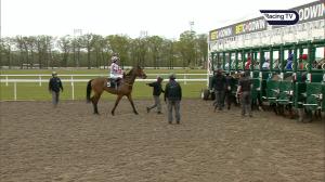 Video preview image for Chelmsford City 14:50 - Racing Value At Bet365 Apprentice Handicap (6)