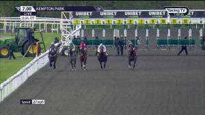 Video preview image for KEMPTON PARK 19:00 - Unibet More Extra Place Races Handicap (4)