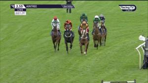 Video preview image for Aintree 14:55 - TrustATrader Top Novices' Hurdle (Grade 1) (1)