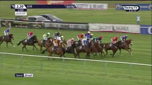 Video preview image for Ayr 14:20 - Get Home Safe With Thistle Cabs Handicap Hurdle (3)