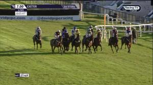 Video preview image for Exeter 19:00 - Heavitree Brewery Novices' Handicap Chase (5)