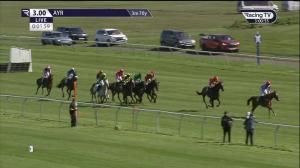 Video preview image for Ayr 15:00 - Jordan Electrics Ltd Seafield Trophy Mares' Handicap Hurdle (2)