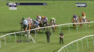 Video preview image for Ayr 17:20 - Golf Inn Prestwick Open National Hunt Flat (2)