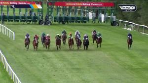 Video preview image for Gowran Park 16:35 - Dining Packages At Gowran Park Handicap