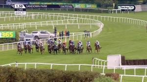 Video preview image for Sandown Park 13:50 - Bet365 Novices' Championship Final Handicap Hurdle (2)