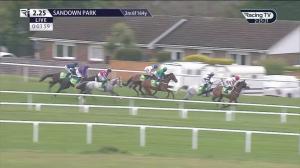 Video preview image for Sandown Park 14:25 - Bet365 Oaksey Chase (Grade 2) (1)