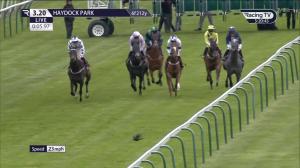 Video preview image for Haydock Park 15:20 - TrustATrader Handicap (4)