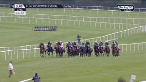 Video preview image for Punchestown 15:40 - Specialist Group Handicap Hurdle