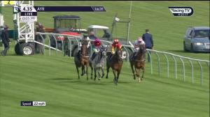 Video preview image for Ayr 16:35 - Tennent's Handicap (5)