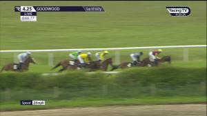Video preview image for Goodwood 16:25 - Heros Charity Handicap (5)