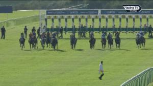 Video preview image for Newmarket 17:50 - HKJC World Pool Handicap (3)