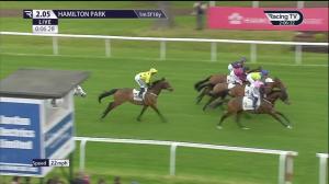 Video preview image for Hamilton Park 14:05 - Apex Traffic Management Ltd Buttonhook Handicap (3)