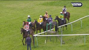 Video preview image for Warwick 17:00 - Lewis Badges 1832 Handicap Chase (4)