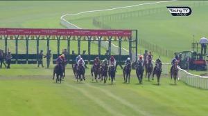 Video preview image for Leopardstown 13:15 - Fitz Agriplant Maiden