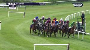Video preview image for Wexford 13:40 - Wexford Racecourse Mares Maiden Hurdle