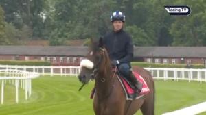 On Demand: William Cox on Derby hope Dancing Gemini at Epsom